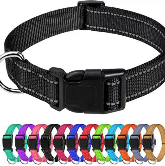 Amazon's Hottest Pet Collar