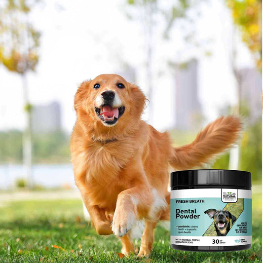 Pet Oral Care Freshening Dental Powder