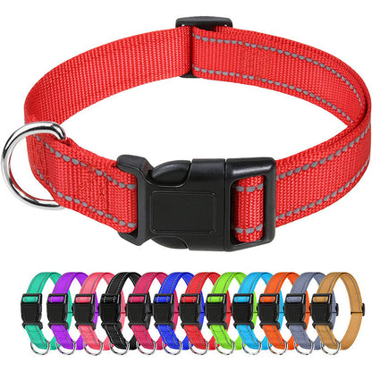 Amazon's Hottest Pet Collar