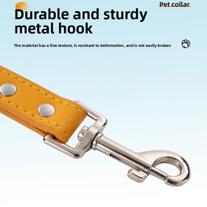 PU Leather Pet Leash