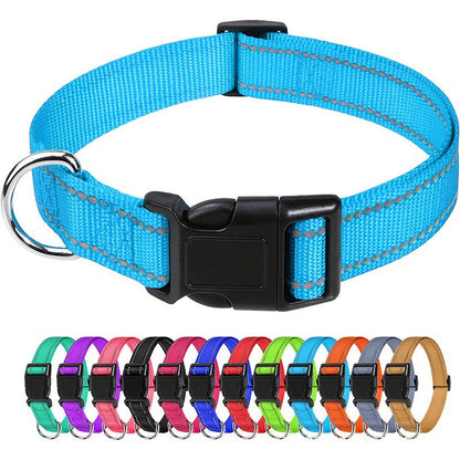Amazon's Hottest Pet Collar