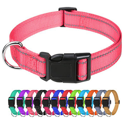 Amazon's Hottest Pet Collar