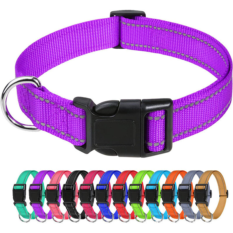 Amazon's Hottest Pet Collar